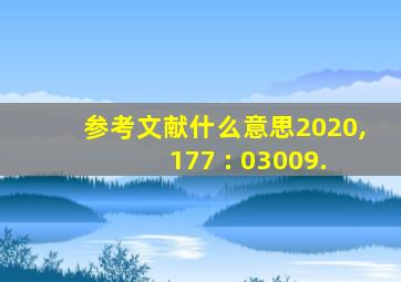 参考文献什么意思2020, 177 : 03009.